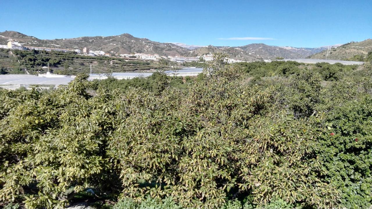 Villa Casa Paloma Blanca Málaga Esterno foto